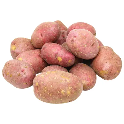 Можно ли победить нематоду картофеля | Камчатгосплем