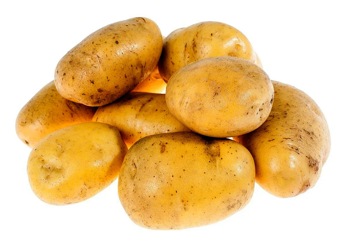 Potatoes picture. Картофель 'Russet Burbank'. Картофель Артемис. Потейто Потато. Картофель сорта бёрбанк.