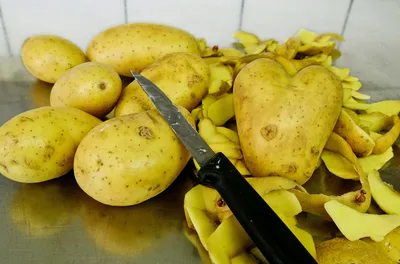 POTATOES like BANANAs are digging with a potato digger WITH A TAIL, a  container and a wheelbarrow - YouTube