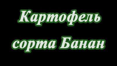 Жаркое с бананами по рецепту Евгения Клопотенко