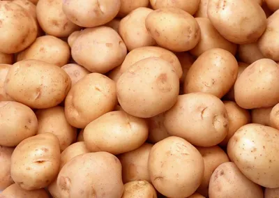 Potato Picasso, Bella Rosa, Karlena, Romana, Nevsky, Kuras, Alvar – Vald  und holc eksport (Wald und Holz Export), OOO | all.biz