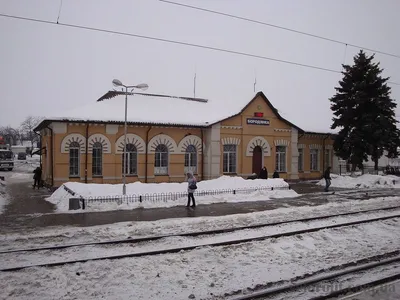 В Бородянке разбирают завалы разбомбленных зданий. Только из-под двух домов  достали 26 тел