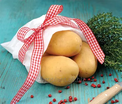 Картофель Captiva купить в Кишиневе