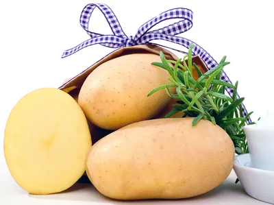 Картофель Джелли Jelly - купить семенной картофель с доставкой по Украине в  магазине Добродар