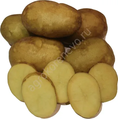 Студия Вкуса Картофель сушеный высший сорт 5 кг