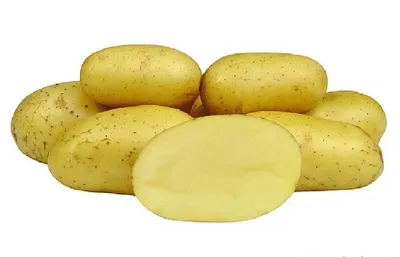 Картофель Бафана (Bafana) | Сорта картофеля