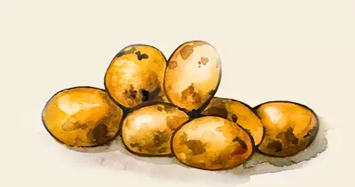 Самые урожайные сорта картофеля - YouTube