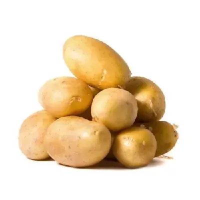 Продам семенную и продовольственную Картошку 5+ сорта Джелли, Галла, Бриз и  др — Agro-Ukraine