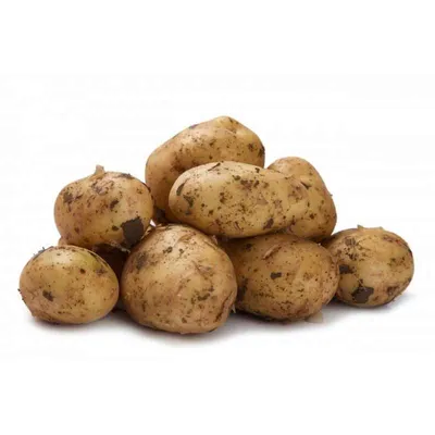Беби-картофель с зеленью