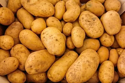 🥔 картофель, картопля, картошка, …» — создано в Шедевруме