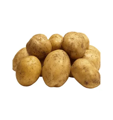 Картофель сорта Гала | Ликка, ООО