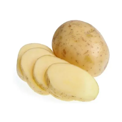 Купить картофель Маделина по оптовой цене – «Агротрейд»