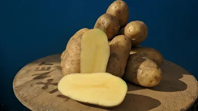 ᐉ Картофель Гранада — купить по цене 34,20 грн/кг • Киев, Харьков, Днепр •  FRUIT TIME