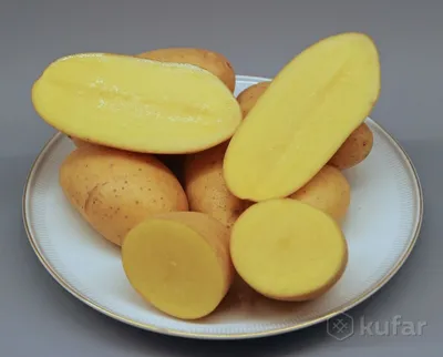 Картопля / картошка ГРАНАДА: 7 грн. - Продукты питания / напитки Нежин на  Olx