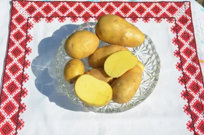 Картофель семенной Гранада (Grаnаdа), Германия, среднепоздний, 1 кг  (ID#1139846654), цена: 40 ₴, купить на Prom.ua