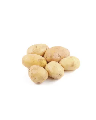 Семенной картофель Фламенко, Голландия купить - Компания ФОРСАГРО