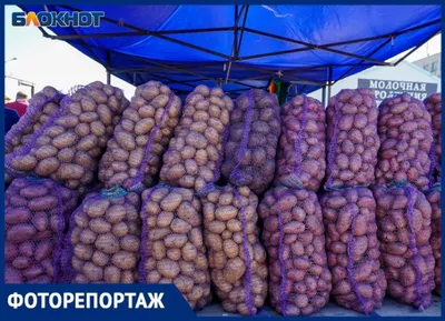 Продам Иван да Марья посадка, купити иван да Марья посадка — Agro-Ukraine