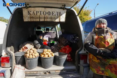 Картофель Иван Да Марья Фото – Telegraph