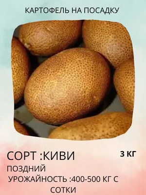 🥔 Как вырастить ранний картофель и какой сорт выбрать