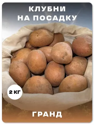 Лучшие сорта картофеля: фото и описание