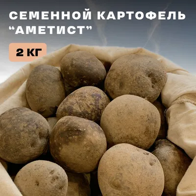 Картофель сорт - Дары ланив - 40 грн, купить на ИЗИ (6069527)