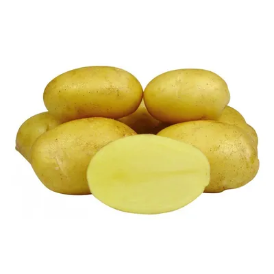 Картофель семенной Королева Анна ранний, гомогенный сорт (гомогенный  означает, что вырастают выровненные клубни, одного разме