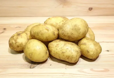 Мои восторги от картофеля сорта Королева Анна | Огородная фея | Дзен