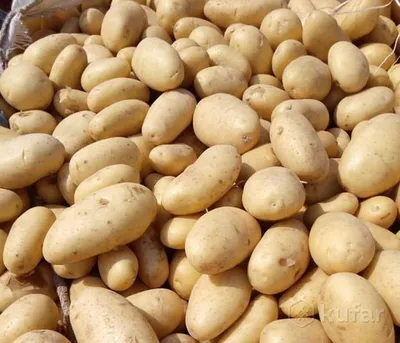 Овощи Картофель - «Кто положил в борщ сахар? Картошка сорта Королева Анна -  выбор для мужиков, которым чистка картошки хуже каторги » | отзывы