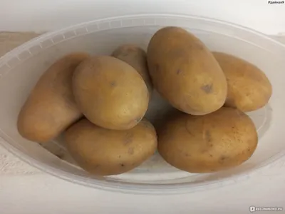 Картофель \"Королева Анна\" #картофель - YouTube