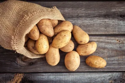 Продам картофель купить в Курске | Товары для дома и дачи | Авито