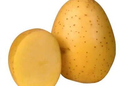 Семенной Картофель и Семена Картофеля онлайн 🥇 | Saka.lt