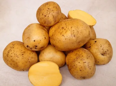 Картофель, раннеспелые сорта 65—70 дней Катания, в сетке 3 кг