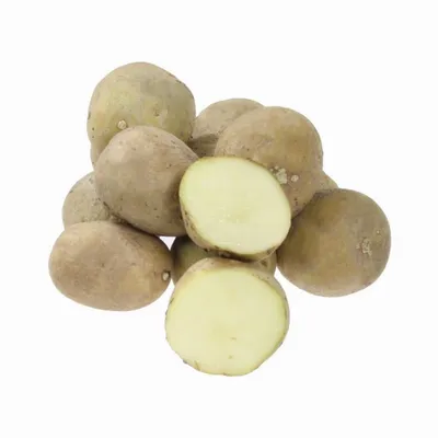 Лучшие сорта семенного картофеля для Подмосковья - KP.RU