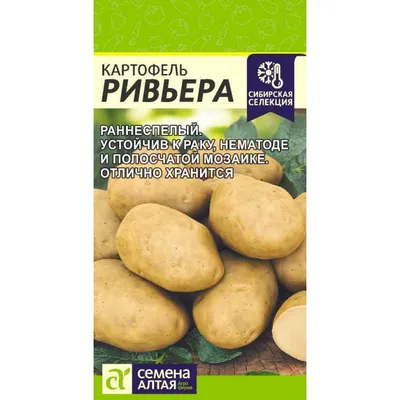 Семенной картофель Ривьера (1 репродукция) купить в Украине | Веснодар