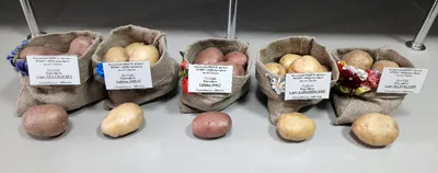 Agro.kg Сельское хозяйство Кыргызстана | Facebook