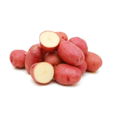 Семенной картофель Ред Скарлет — Рассада цветов и овощей.