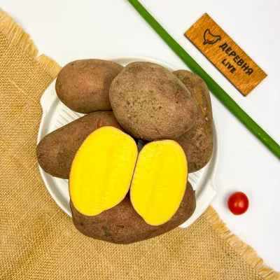Картофель Ред Скарлет 20 кг купить оптом в Томске по цене 2 340 руб.