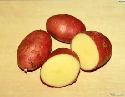Клубни картофель Ред Скарлет элит 1 уп. - купить в Москве, цены на  Мегамаркет