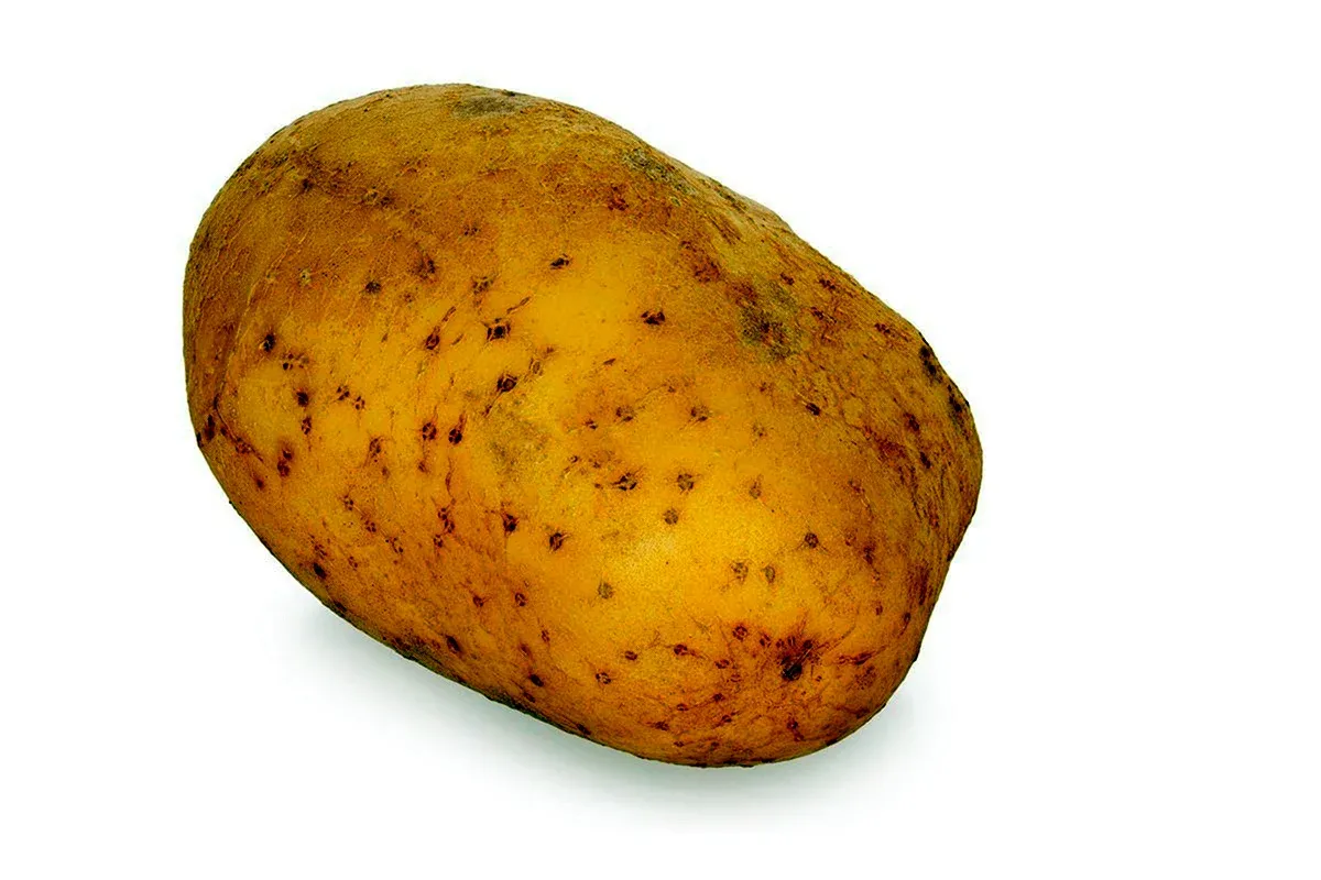 Potatoes picture. Потейто Потато. Картошка с овощами. Картофель для детей. Картошка для детей.