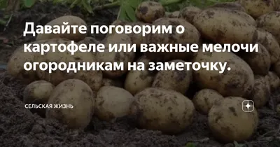 Сорокодневка – купить в Стерлитамаке, цена 50 руб., продано 24 июня 2018 –  Продукты питания