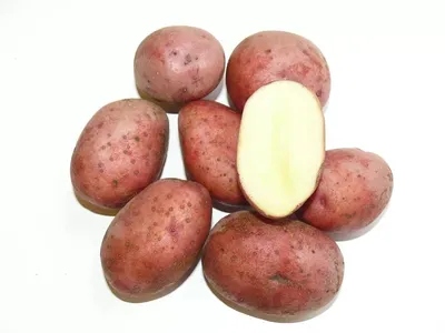 Любава ЭЛИТА Картофель 5кг сетка (Раннеспелый сорт(60-75дней)) оптом