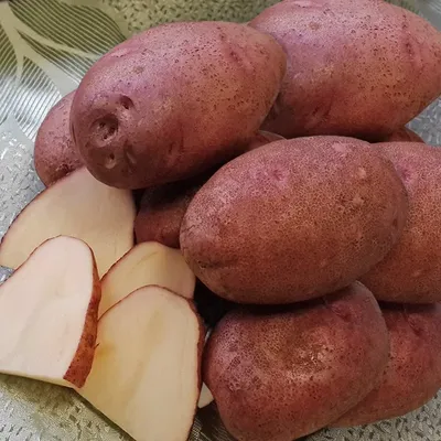 Картофель Семенной Любава – купить семенной картофель в интернет-магазине  Лафа с доставкой по Москве, Московской области и России