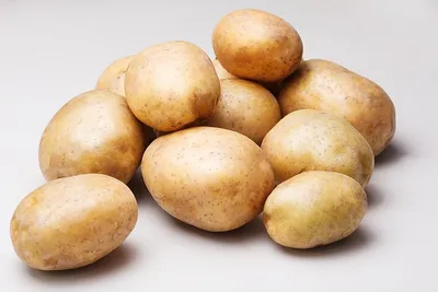 Картофель Лидер | Сорта картофеля