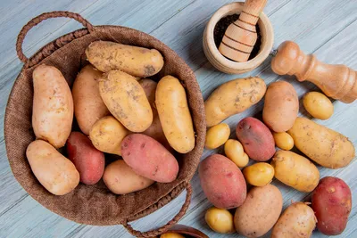 Картофель, 1 кг - цена по скидкам и акциям в листовке Соседи Минска