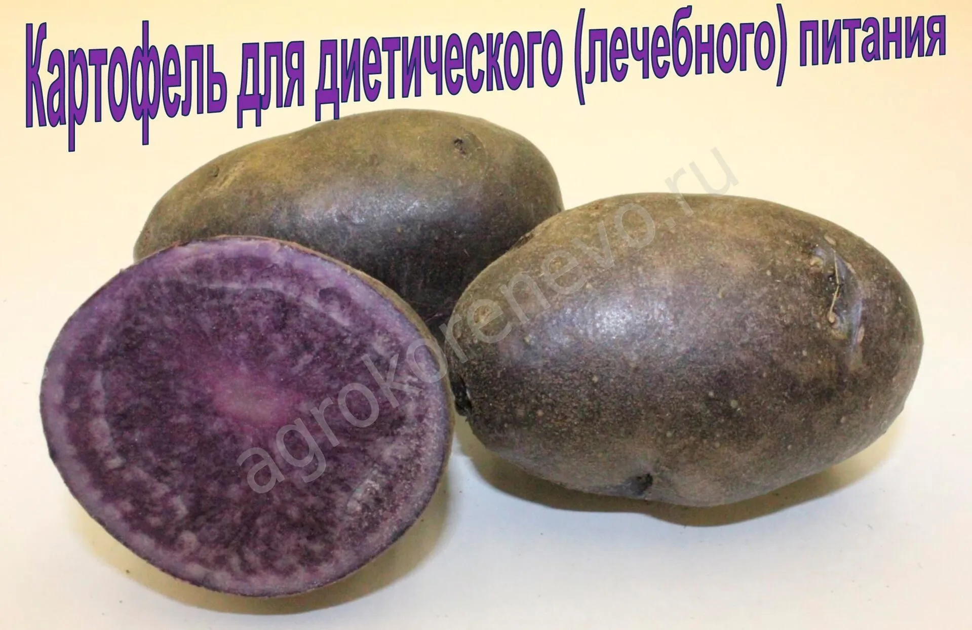 Картофель сюрприз описание сорта. Картофель семенной фиолетовый 30-55мм элита 2кг. Сорт картофеля Джоконда. Картофель семенной Гурман. Картофель семенной Гулливер.