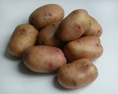 Первая картошка в сезоне, сорт Жуковский ранний, о вкусе. Как хранить ранние  сорта картофеля зимой | уДачный проект | Дзен