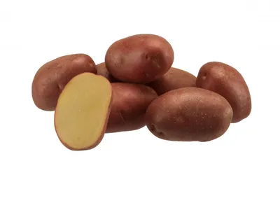 26 сортов семенного картофеля будет предложено покупателям на отраслевой  выставке «Картофель-2022» | Министерство сельского хозяйства Чувашской  Республики