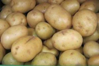Семенной картофель Беллароза ранний 1 кг купить в Украине с доставкой |  Цена в Svitroslyn.ua
