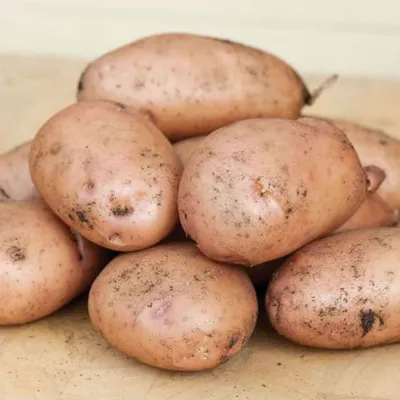 Органічна картопля BELLAROSA 1 кг здорового еко - docom.com.ua