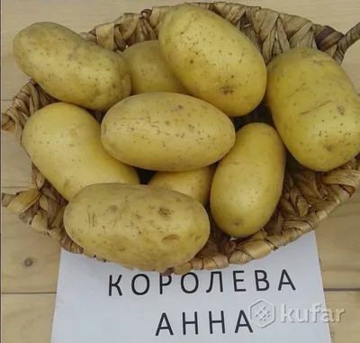 Картофель от Papas